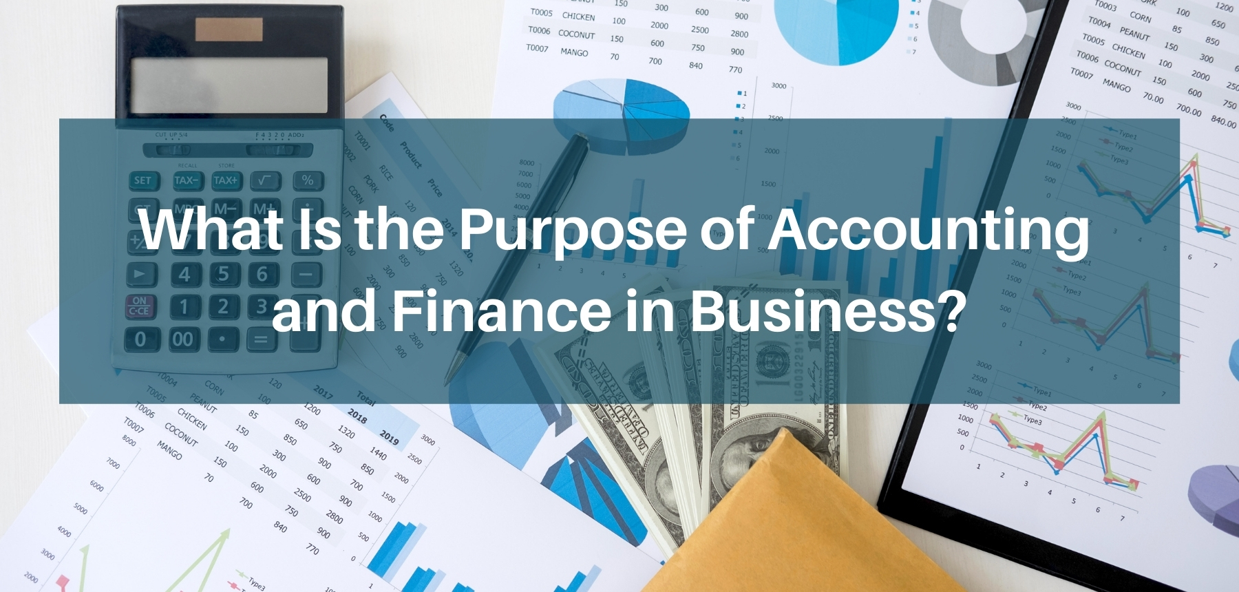 What Is the Purpose of Accounting and Finance in Business? | Kinden CPA